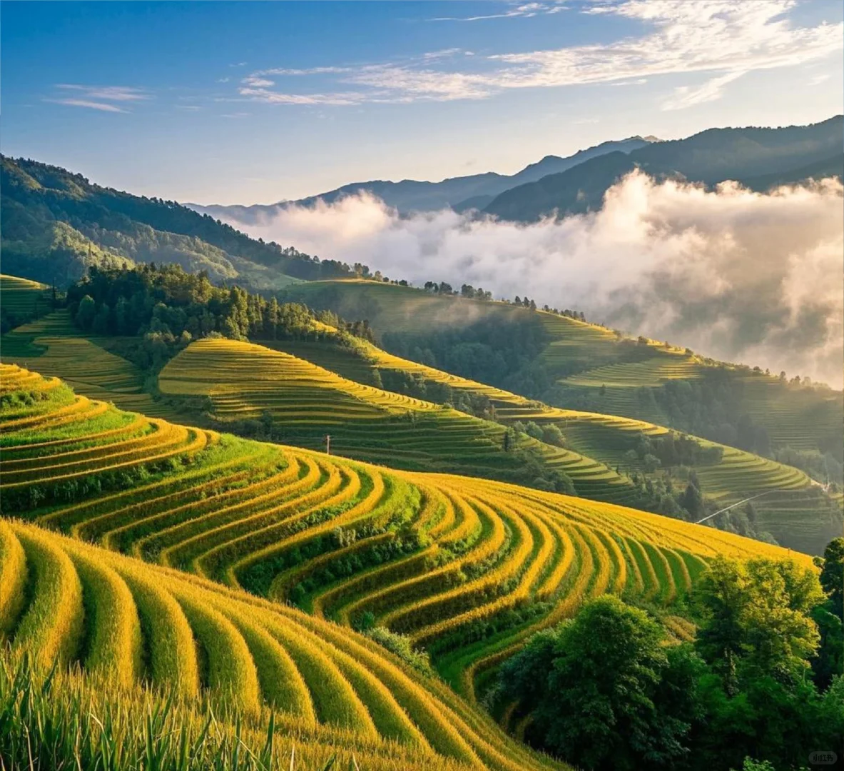 救命!广西山水才是隐藏的神仙旅行地