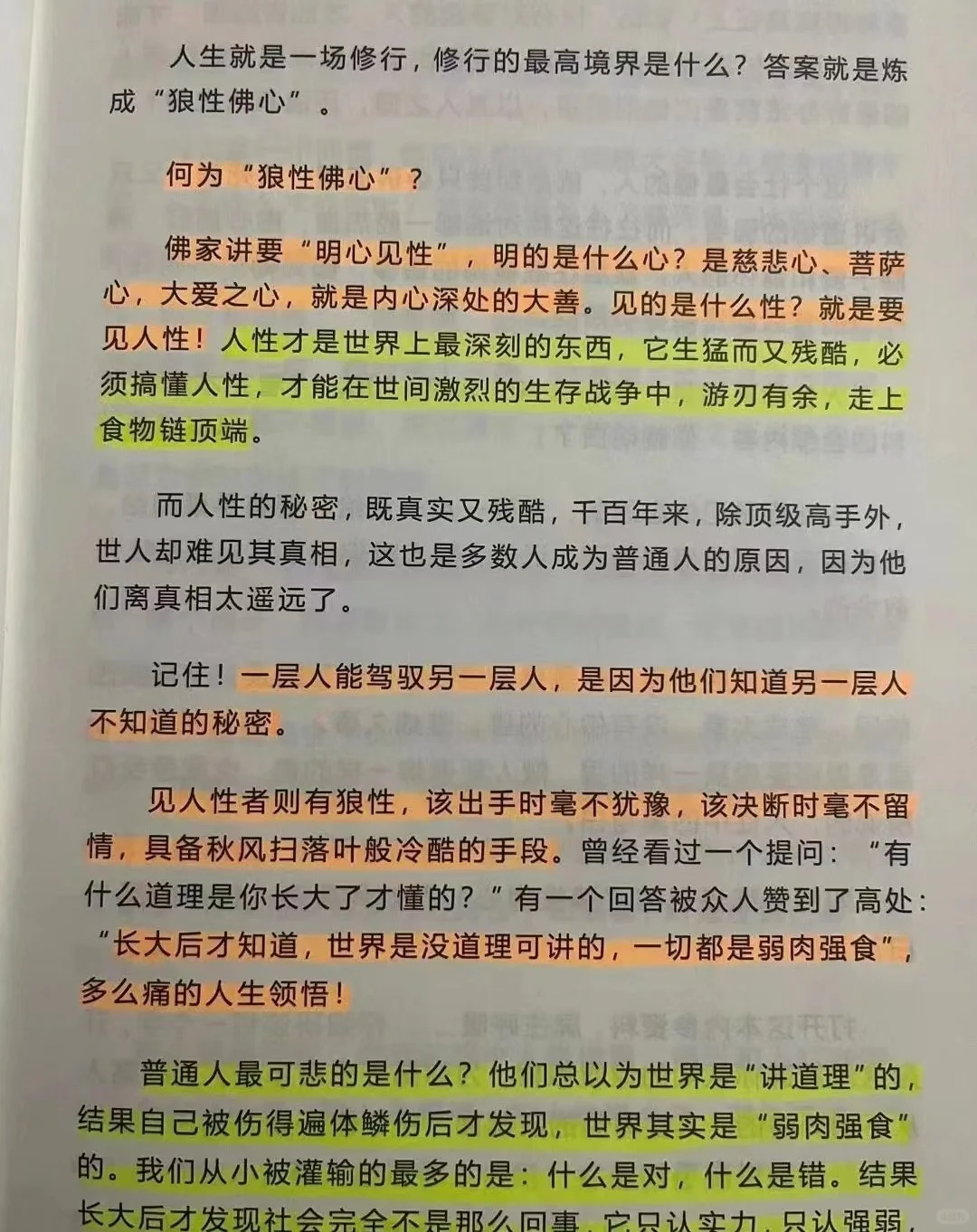为什么所有人都想欺负你