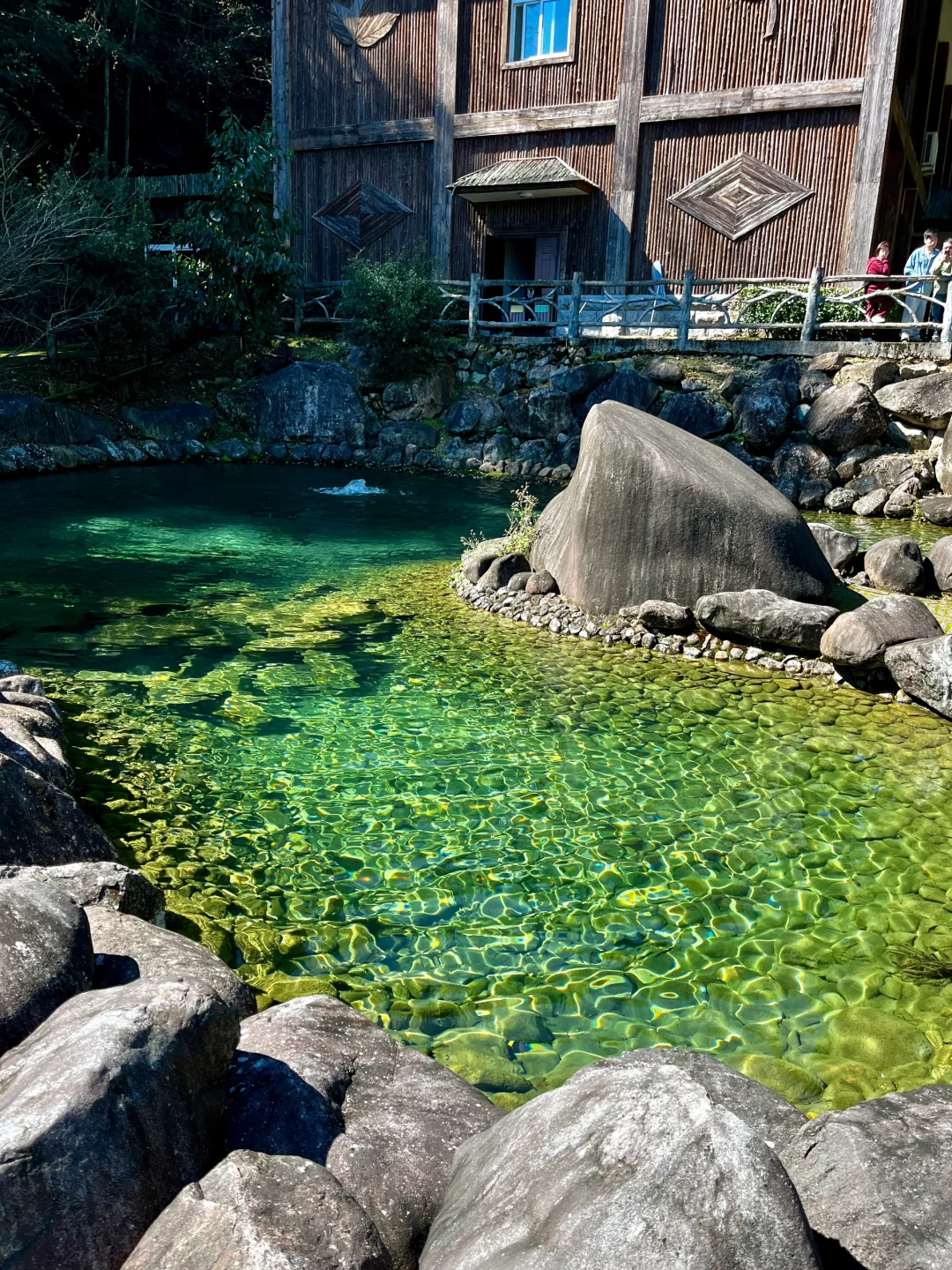 丽水秘境徒步｜阳光洒落 潭水如钻🍃🧊🫧