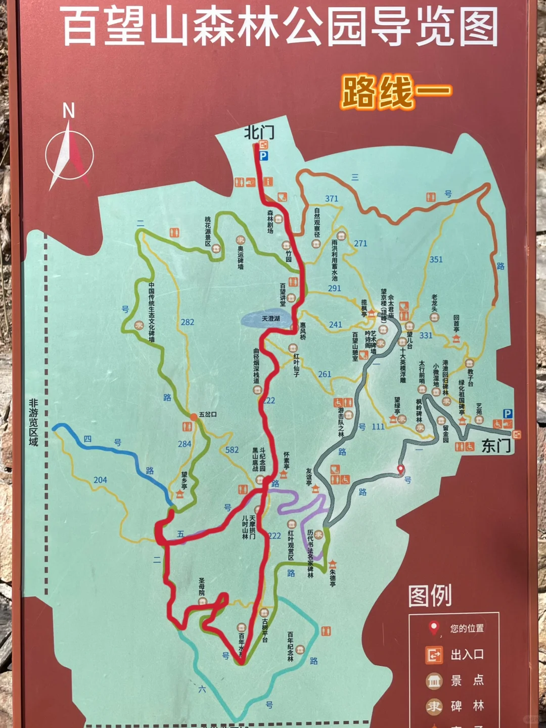 3.21百望山实况🌸 附4条赏花路线✅