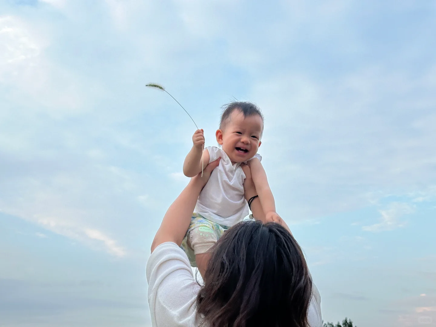不用去新疆，枣庄也有自己的阿勒泰
