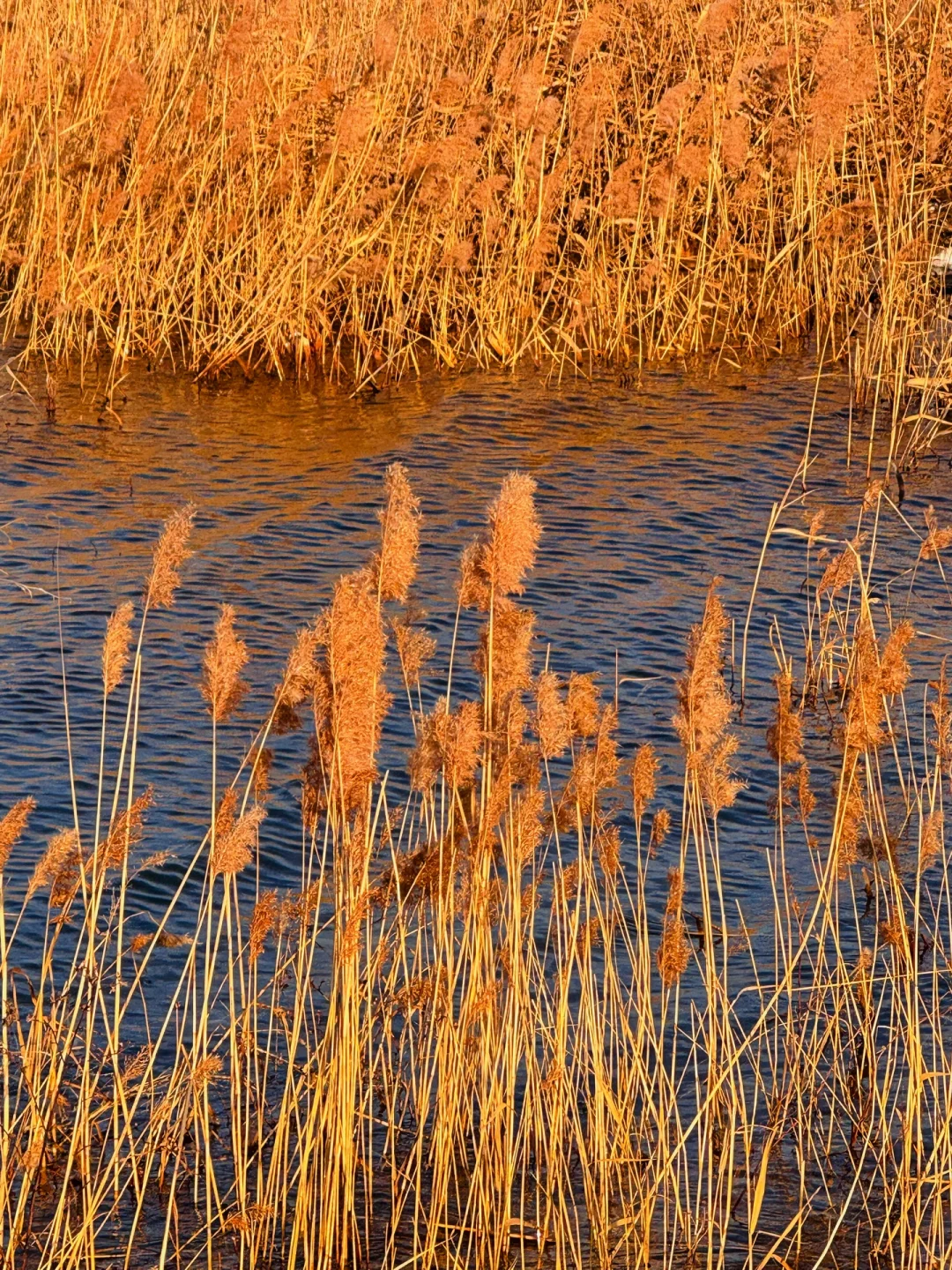 不必去大理‼️北京2h🚗隐藏在京郊的苍山洱海