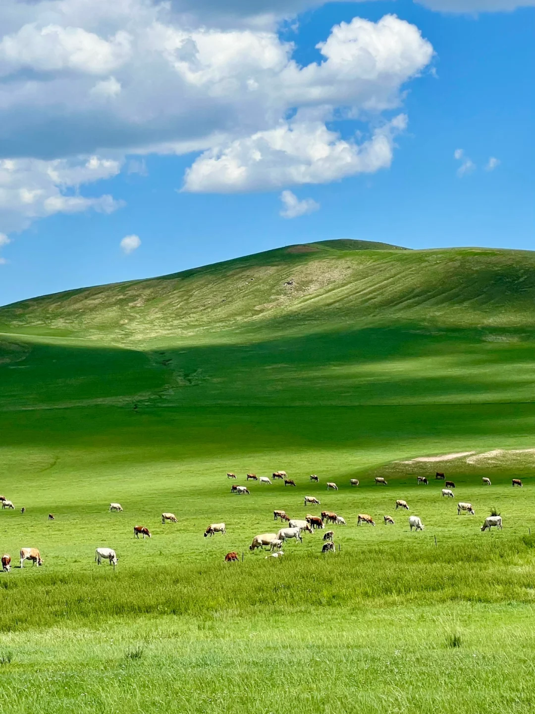 五一反向旅游！想安利1W次被低估的宝藏秘境