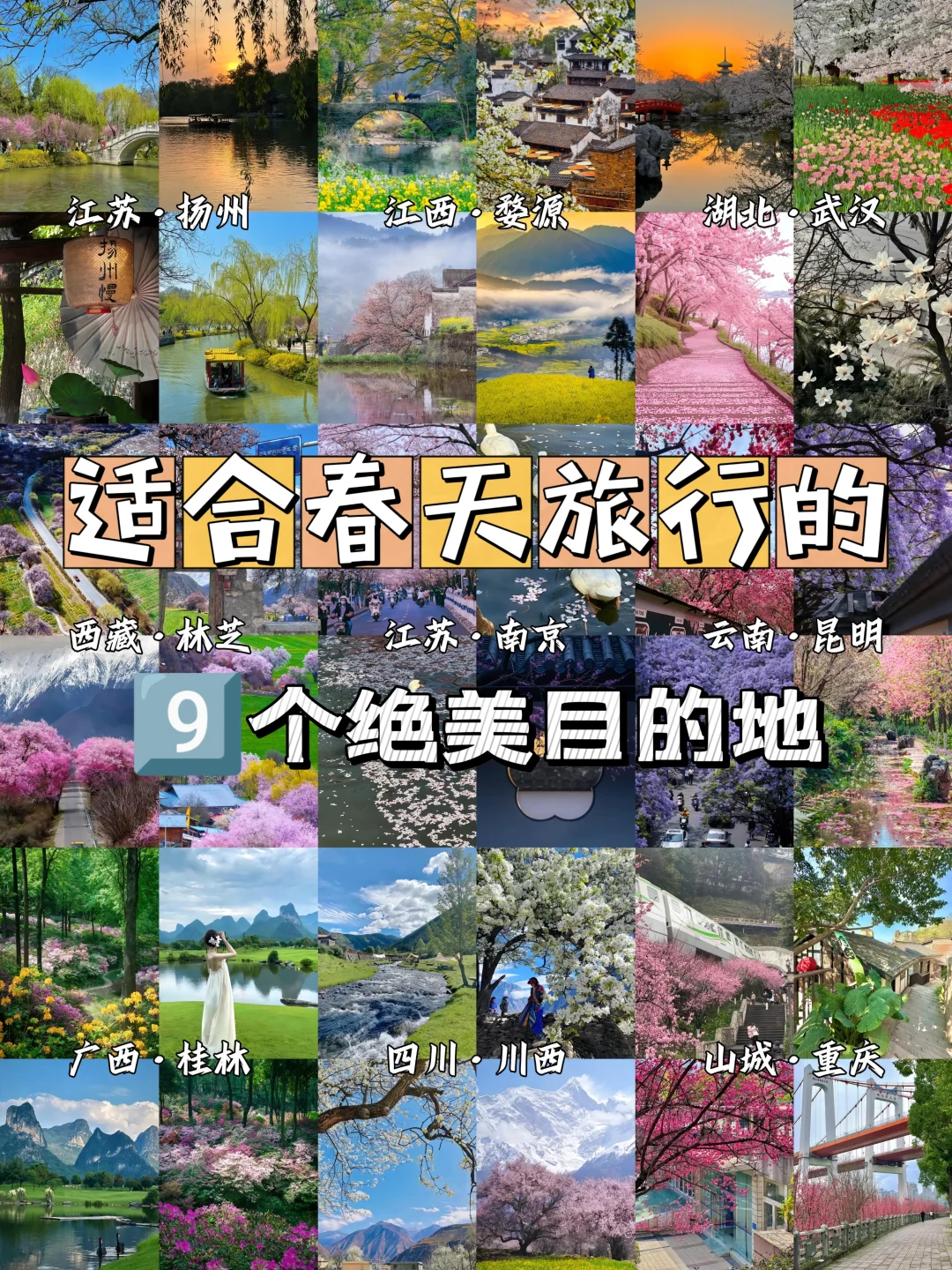 赏花漫游🖼️适合春季旅游的9️⃣座城市