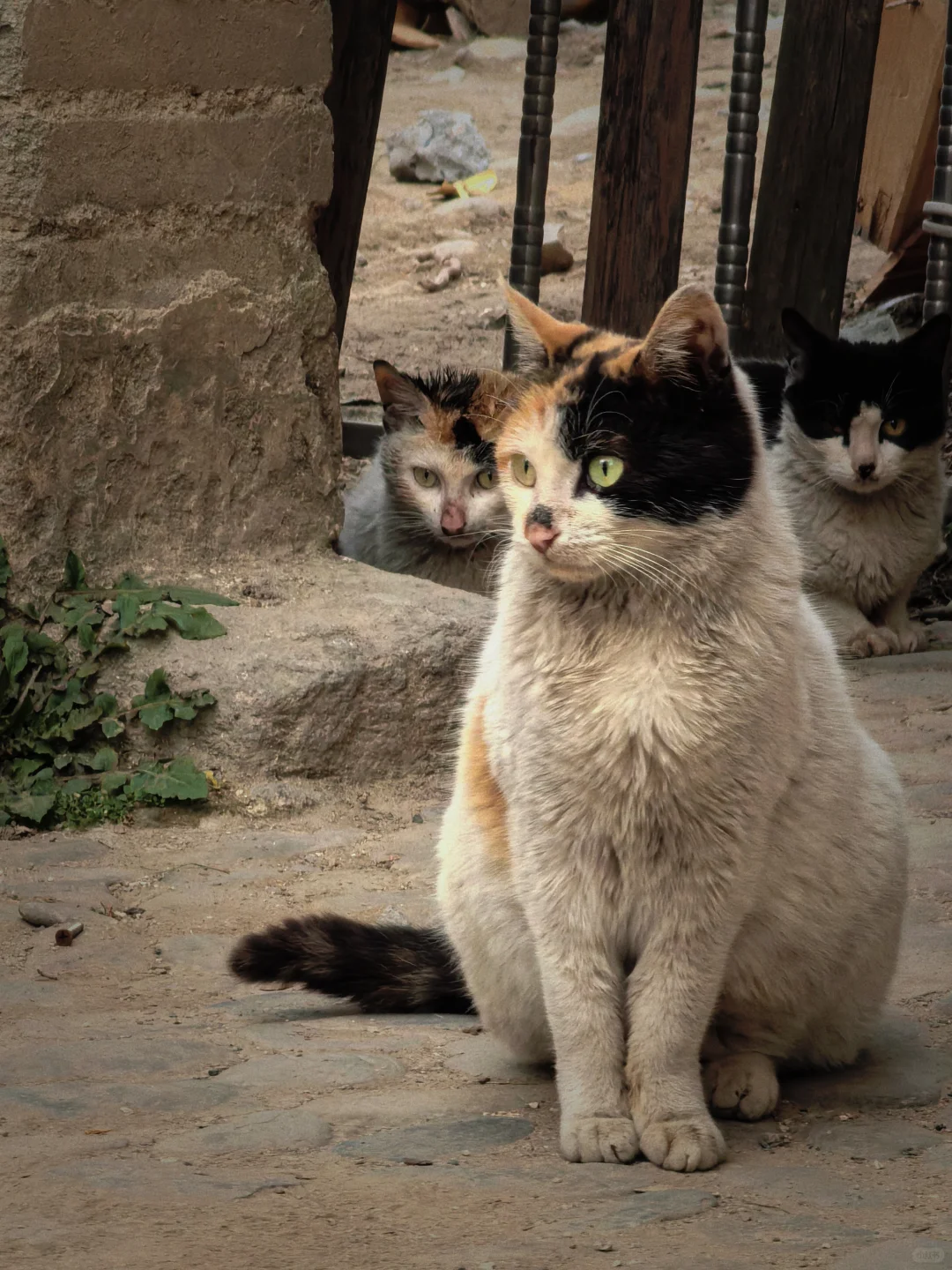 皖南三月·烟雨徽州