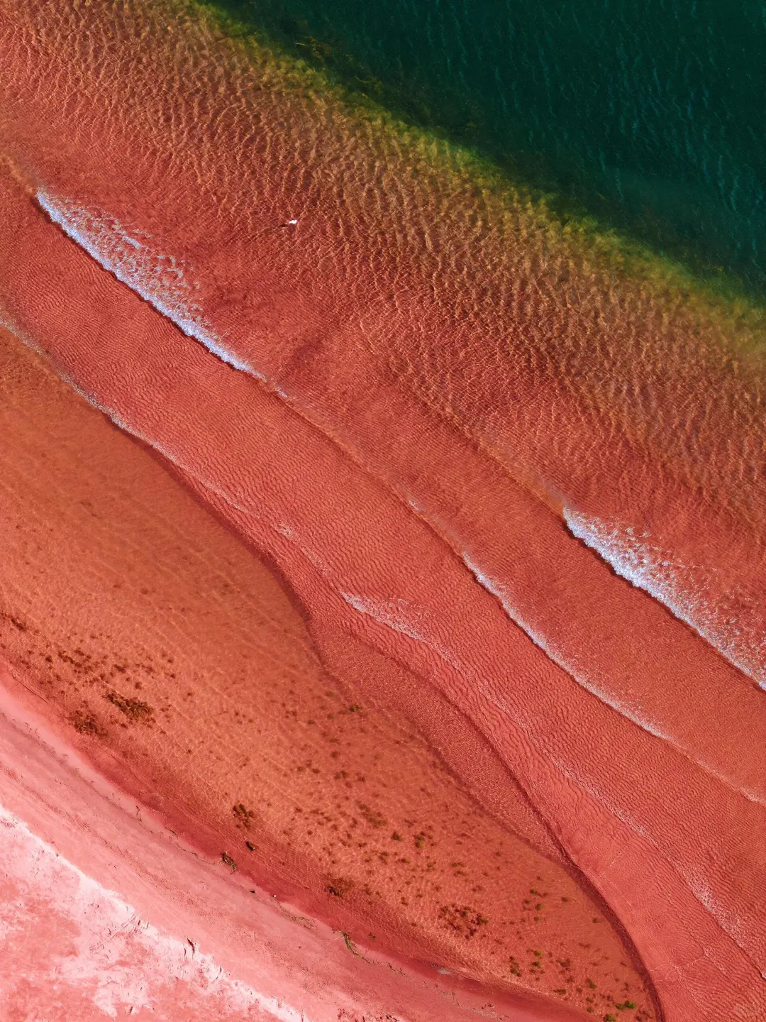 五一反向旅游!我找到了国内唯一的粉红沙滩