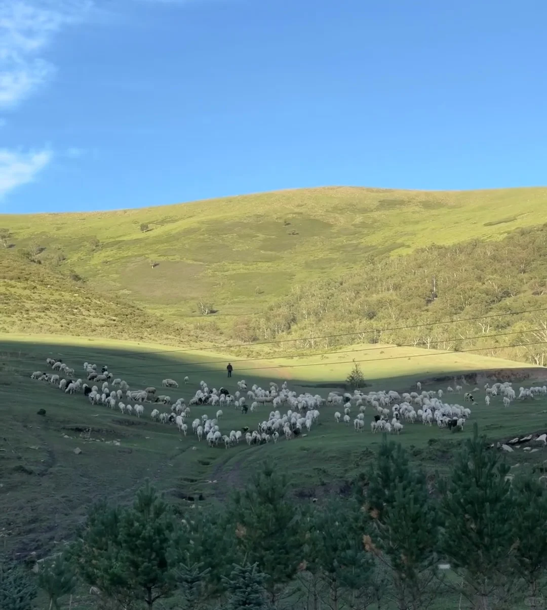 自驾｜达达线｜热阿线 真的非常值得去！！！