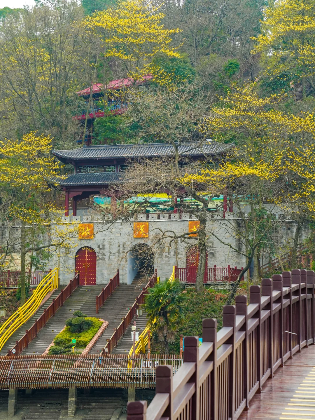 八千岛屿包围一棵树🌲江西被低估的宝藏景点