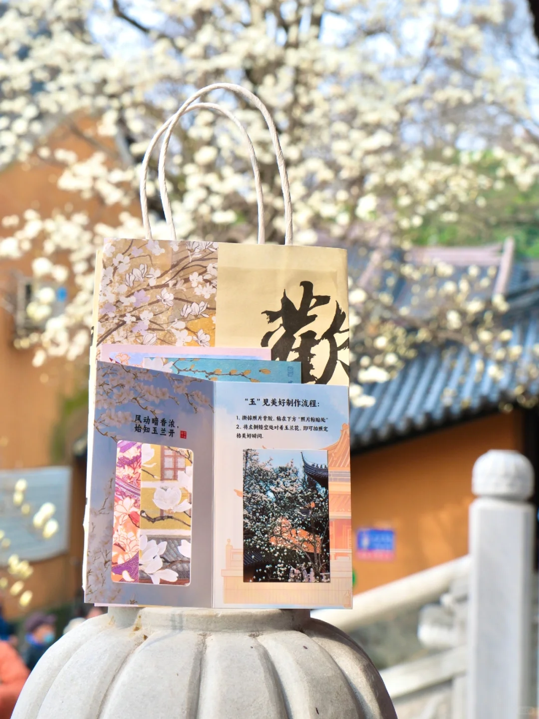 为了这扇窗景,我特地飞了一趟南京来值得吗?