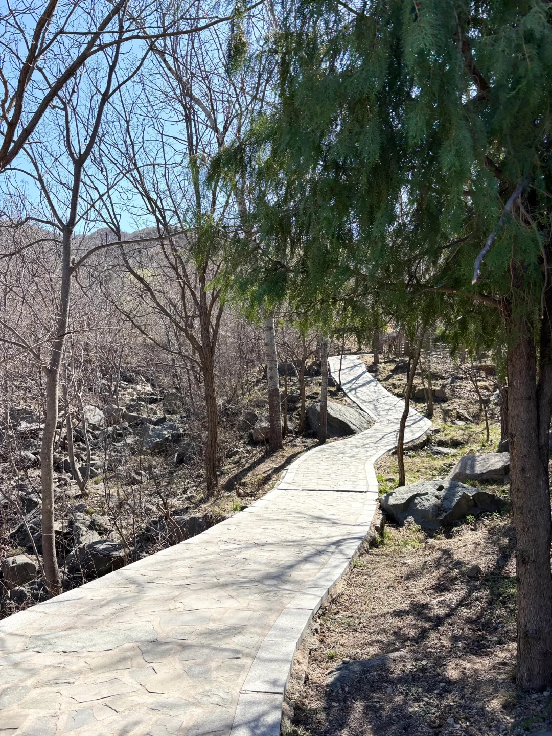 带着宝宝👶上春山⛰️⛰️🏔️🗻
