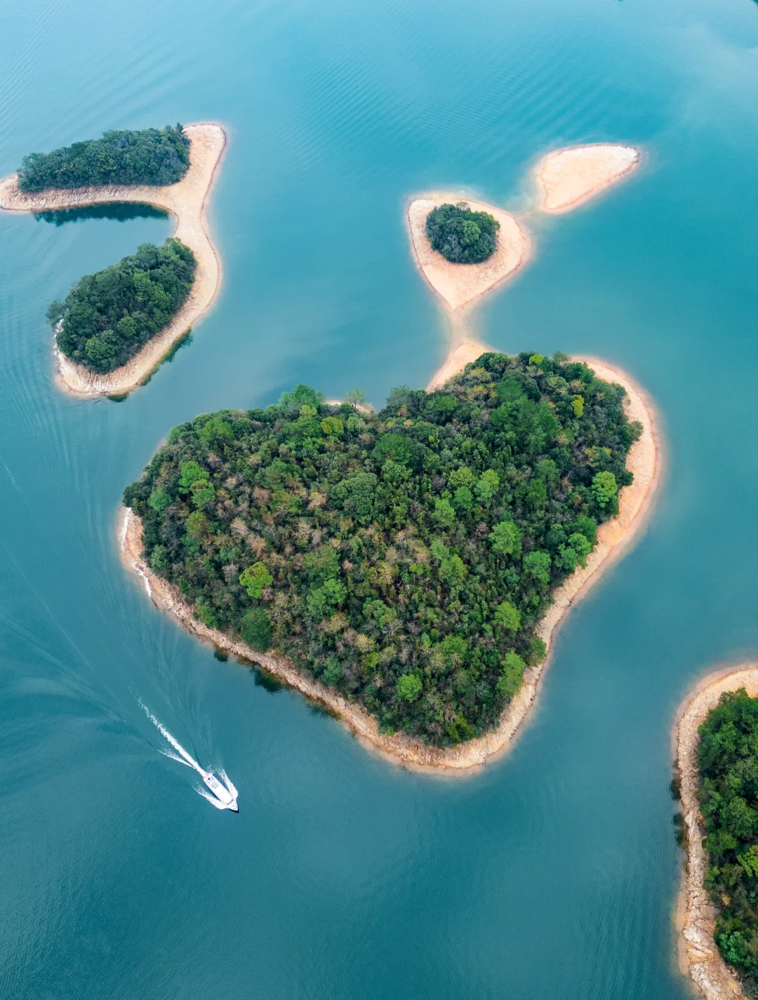 八千岛屿包围一棵树🌲江西被低估的宝藏景点
