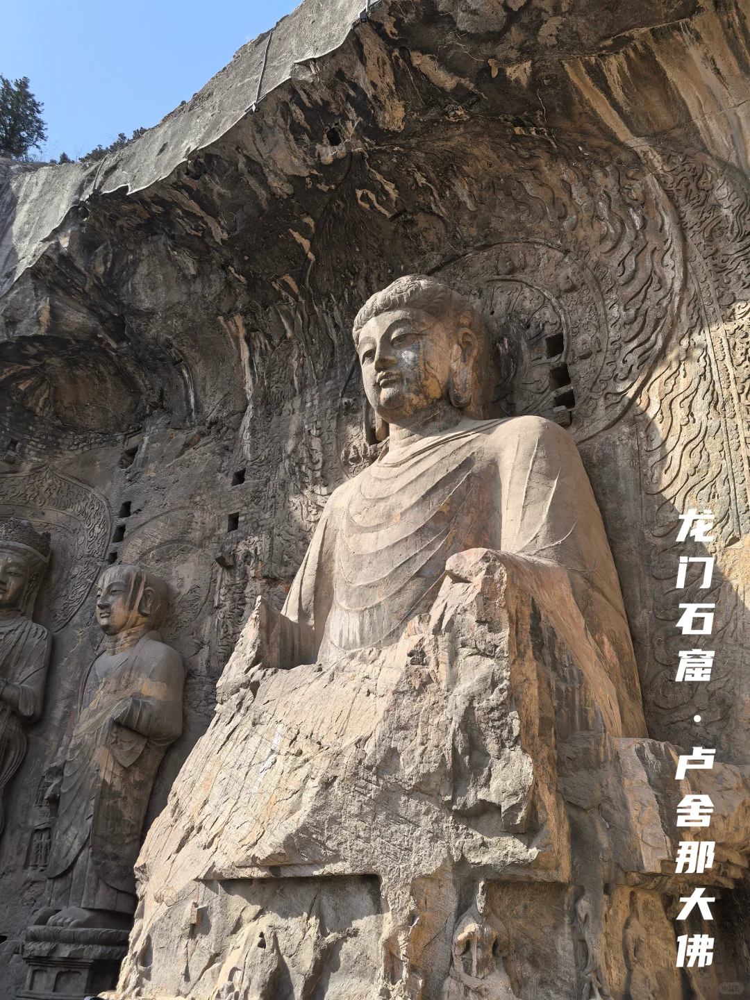 牡丹待放🌸｜洛阳还有这些地方穿越千年