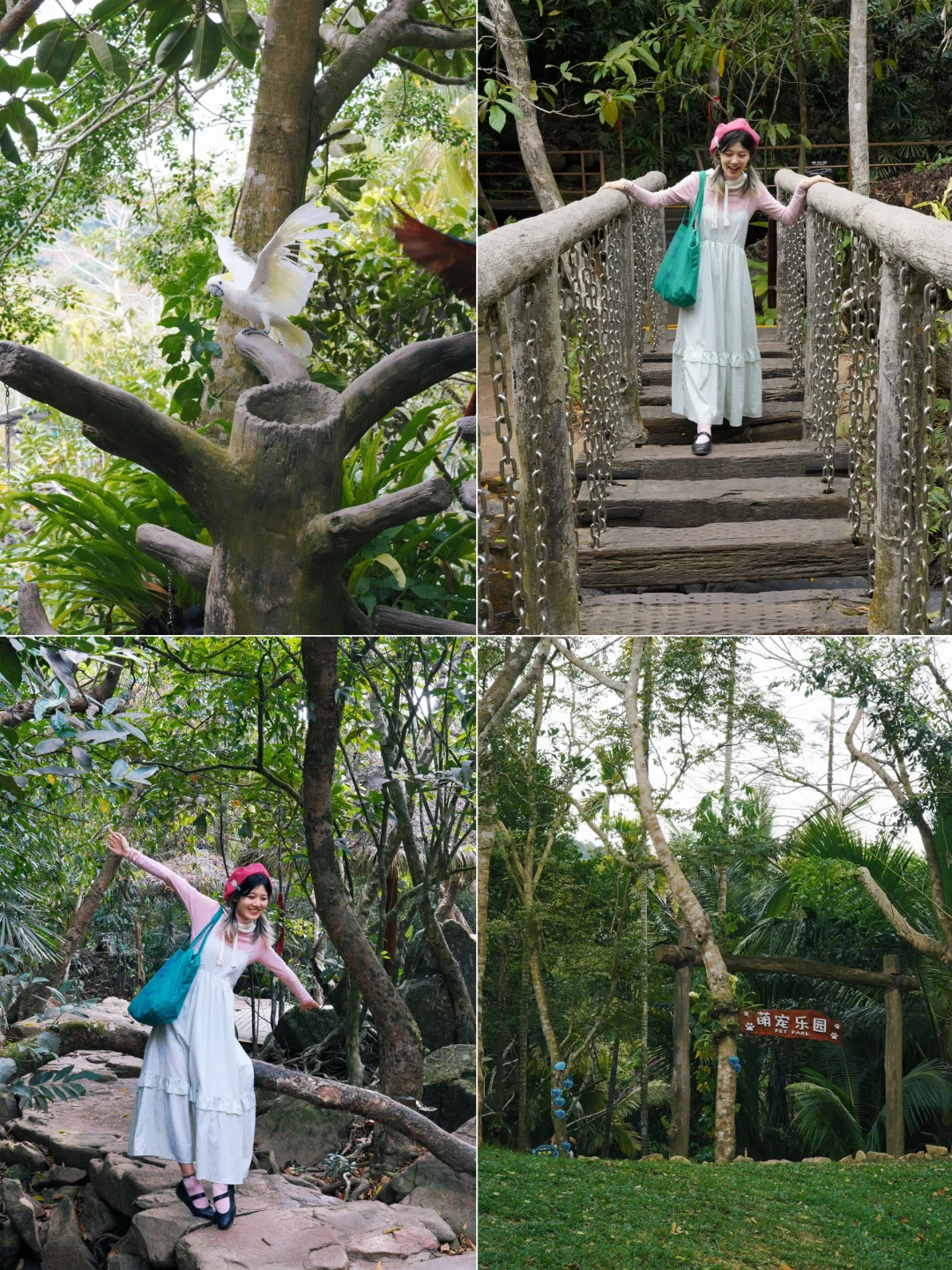 来三亚📍我发现了春日的热带雨林👒｜呀诺达