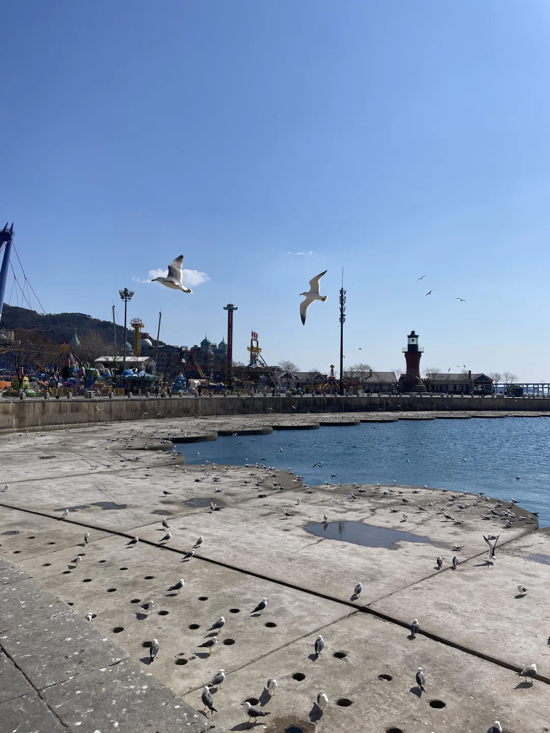 大连免费旅游景点，东港和星海哪个更值得