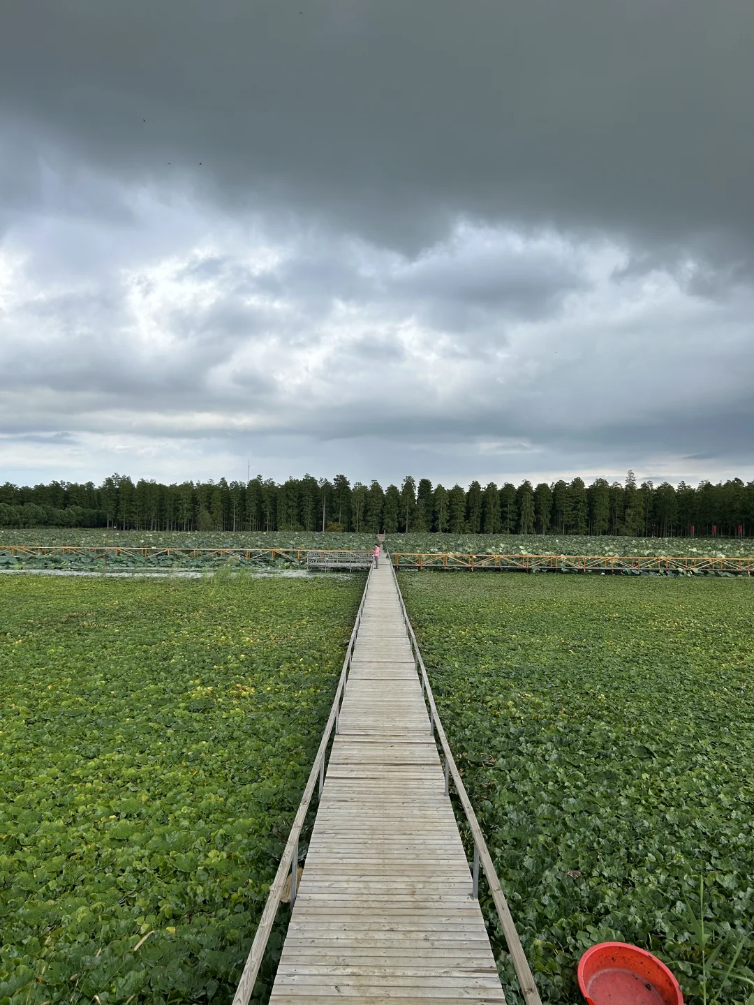 🙋🏻‍♂️来扬州，想给所有人安利的宝藏公园‼️