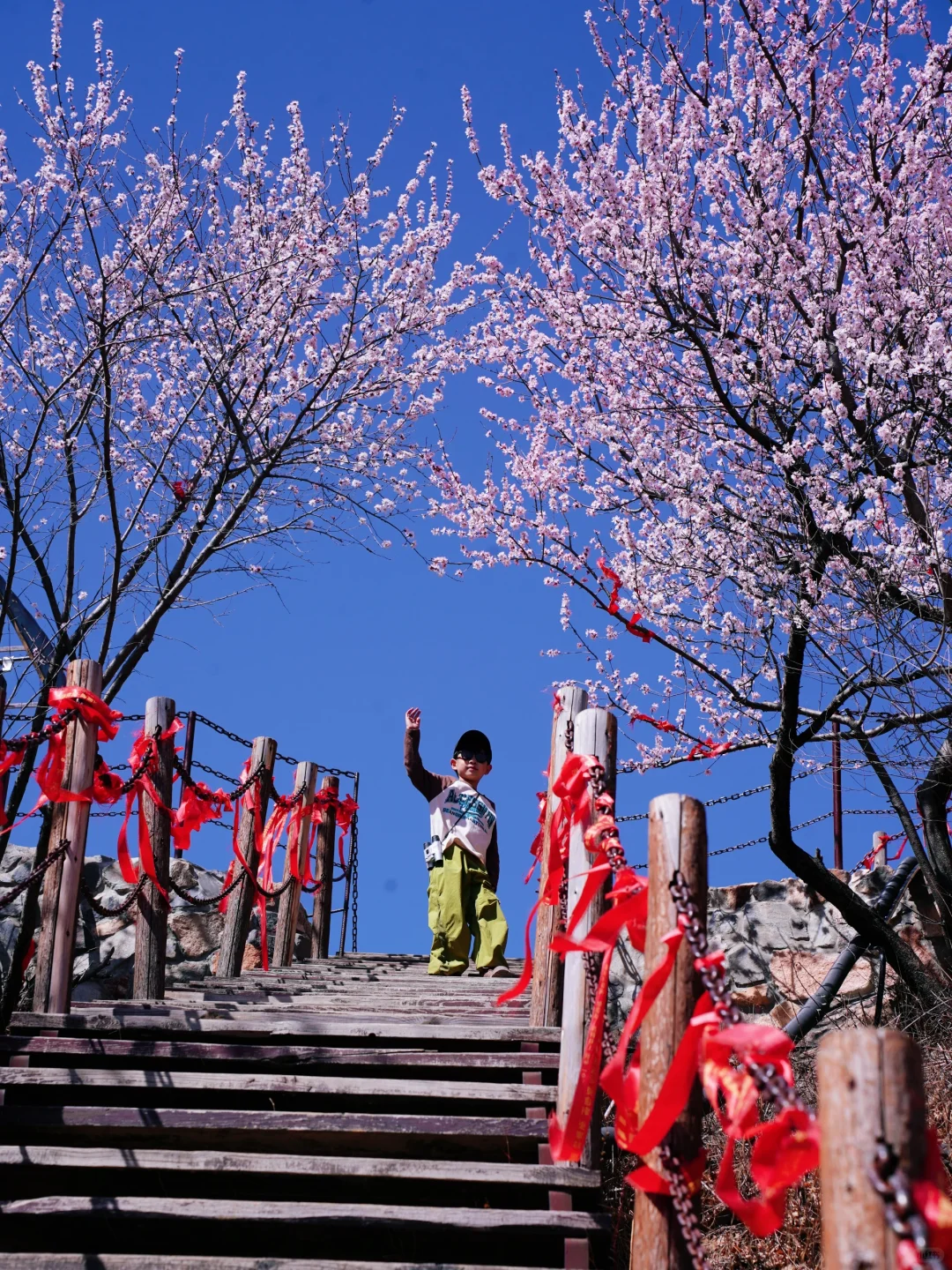 3.20实拍‼️封神级别的山花已盛放！快打卡