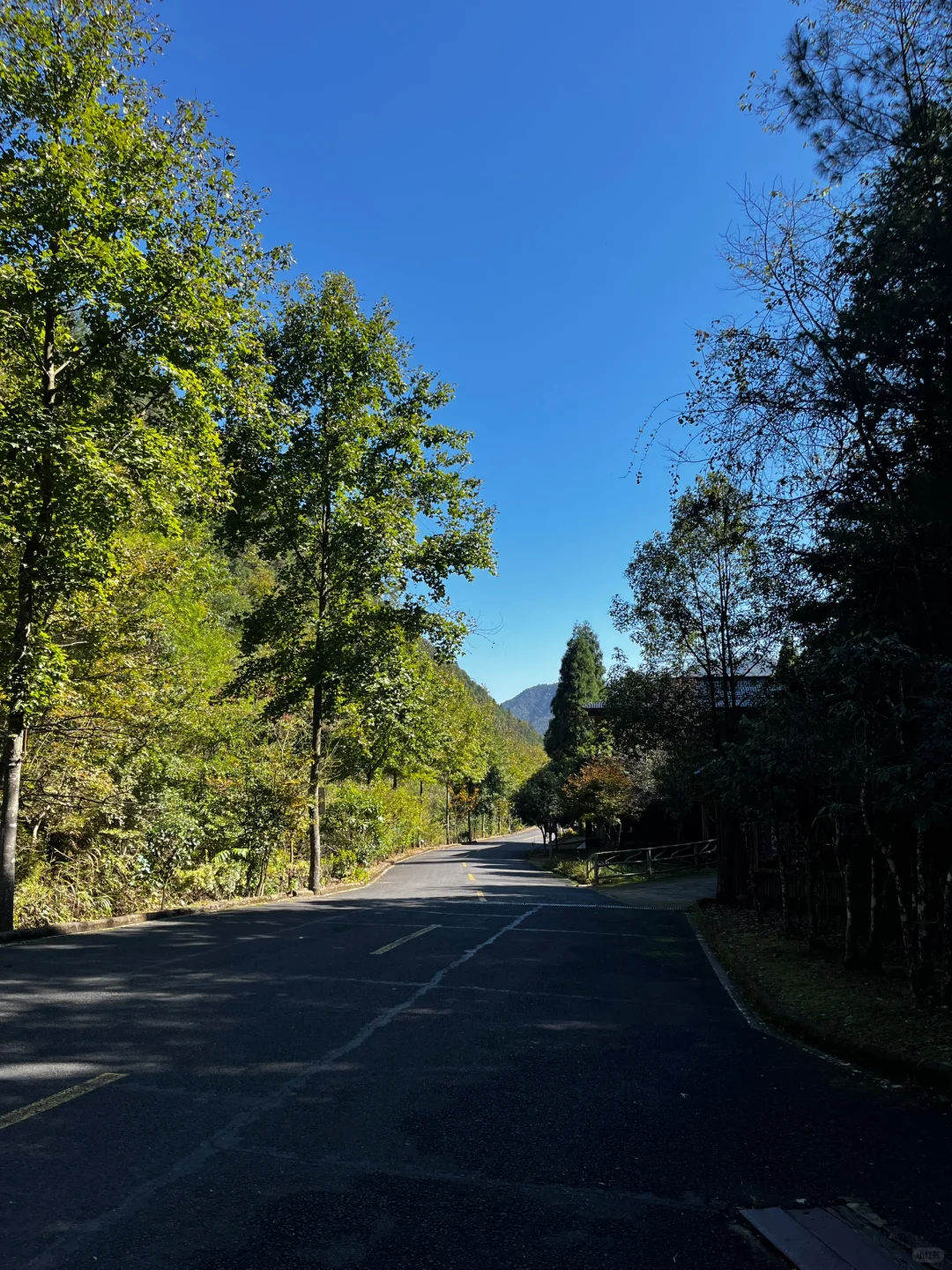 丽水秘境徒步｜阳光洒落 潭水如钻🍃🧊🫧