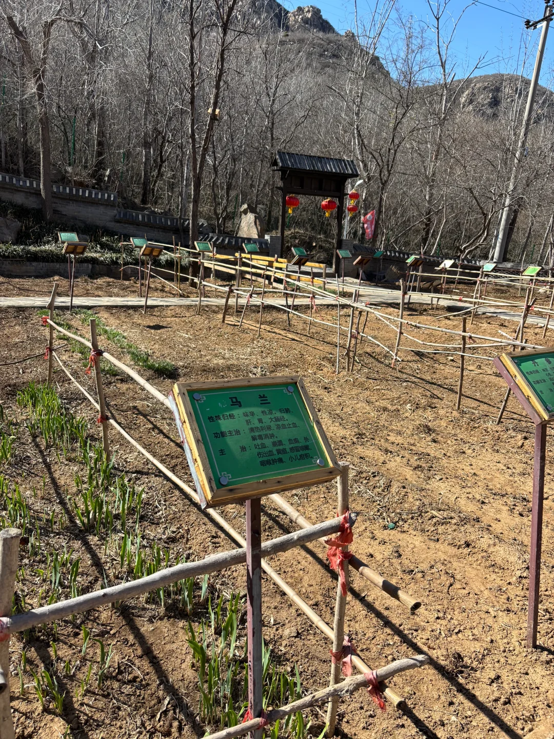 带着宝宝👶上春山⛰️⛰️🏔️🗻