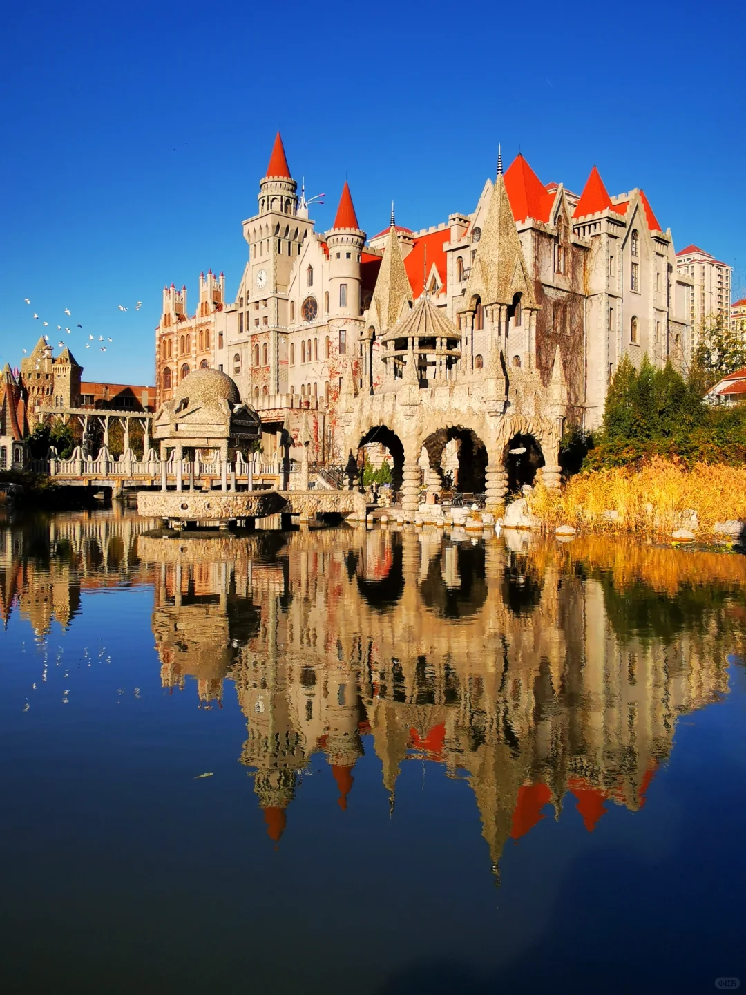 打卡天津254：惊艳的中华石园🌺