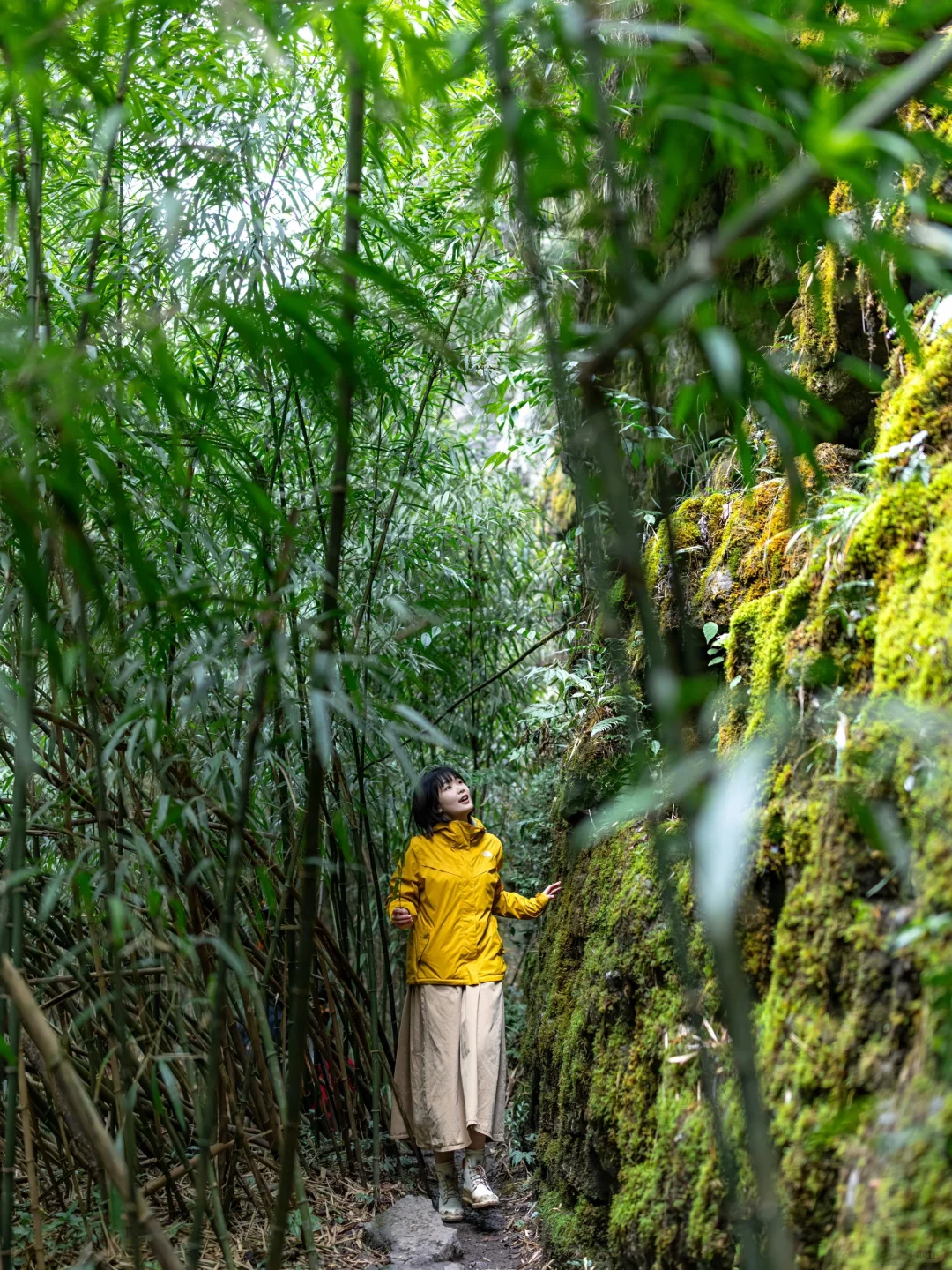 贵州文旅怎么不宣传这儿啊⁉️是因为免费吗⁉️