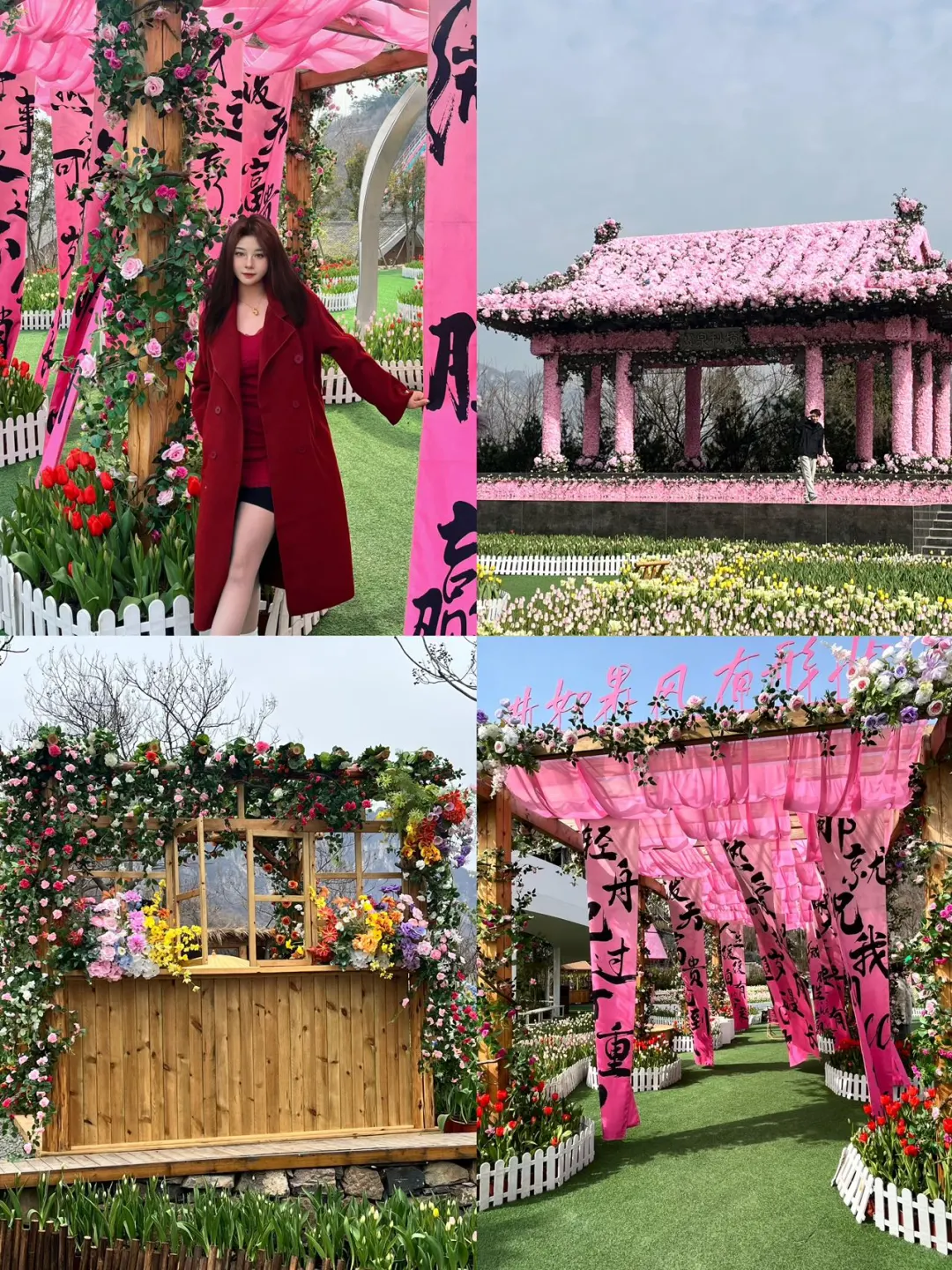 谁懂！河南宝泉藏着春日限定郁金香花海🌷