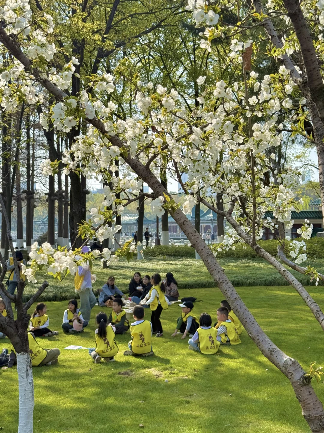 以为东湖磨山已经很美了,直到我去到这里…