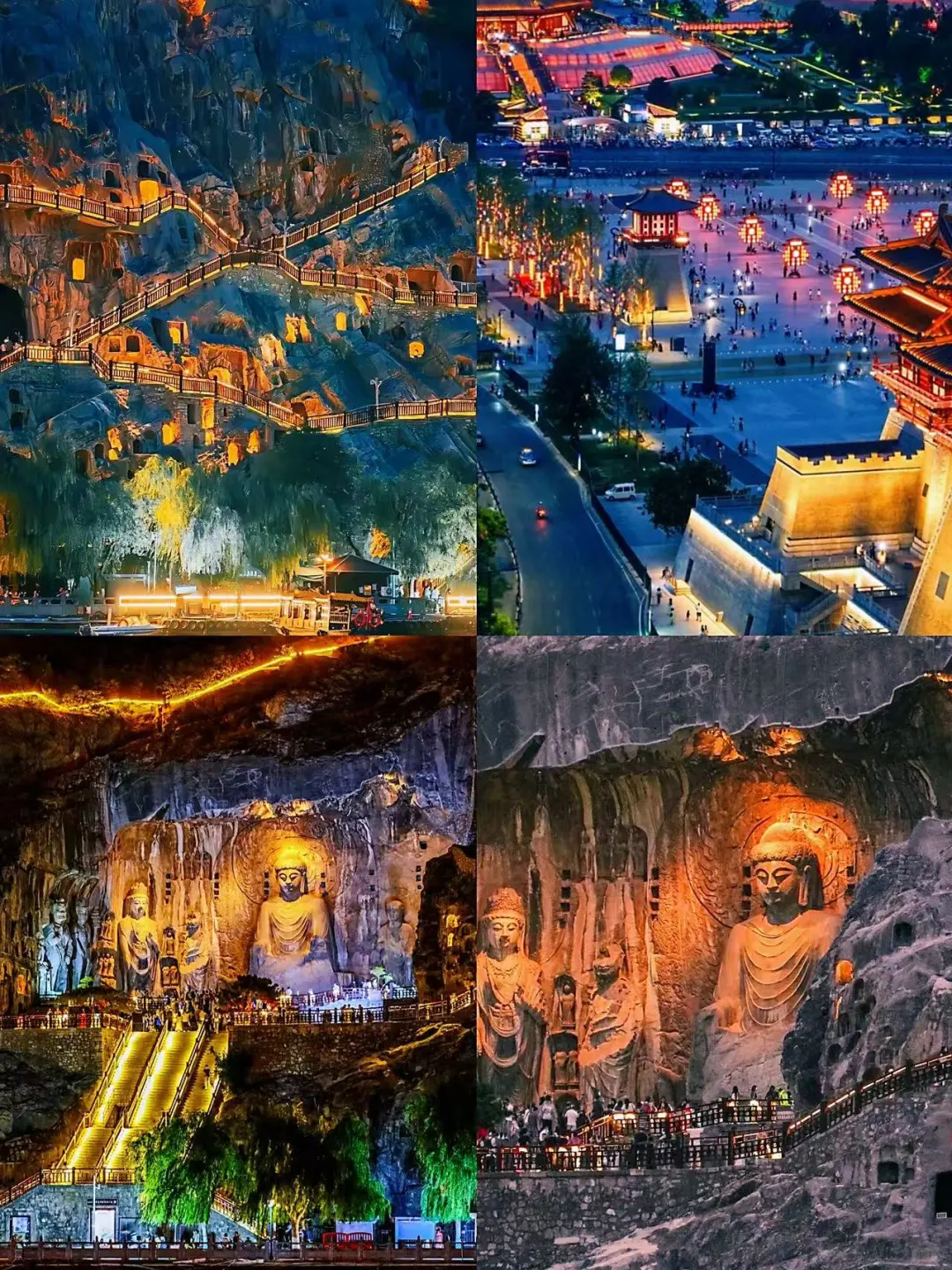 🌸洛阳 |3-4月来真香，牡丹花城的春日奇遇！