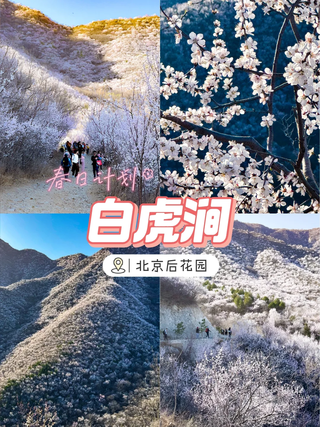 3.22 白虎涧 带上你最好的相机冲冲冲!