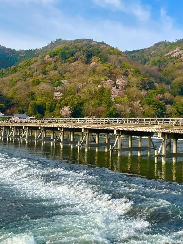 京都岚山｜赏樱当然要来这里啦