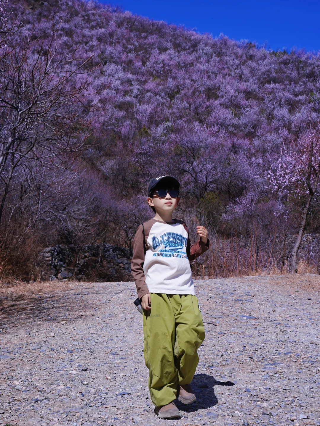 3.20实拍‼️封神级别的山花已盛放！快打卡