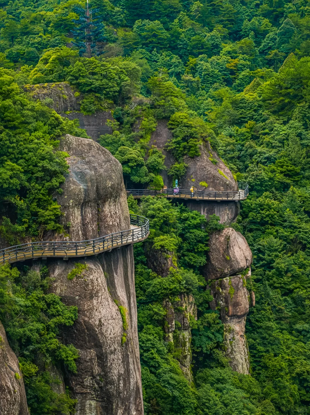 神仙居|原来浙江的山都不用爬的！！！