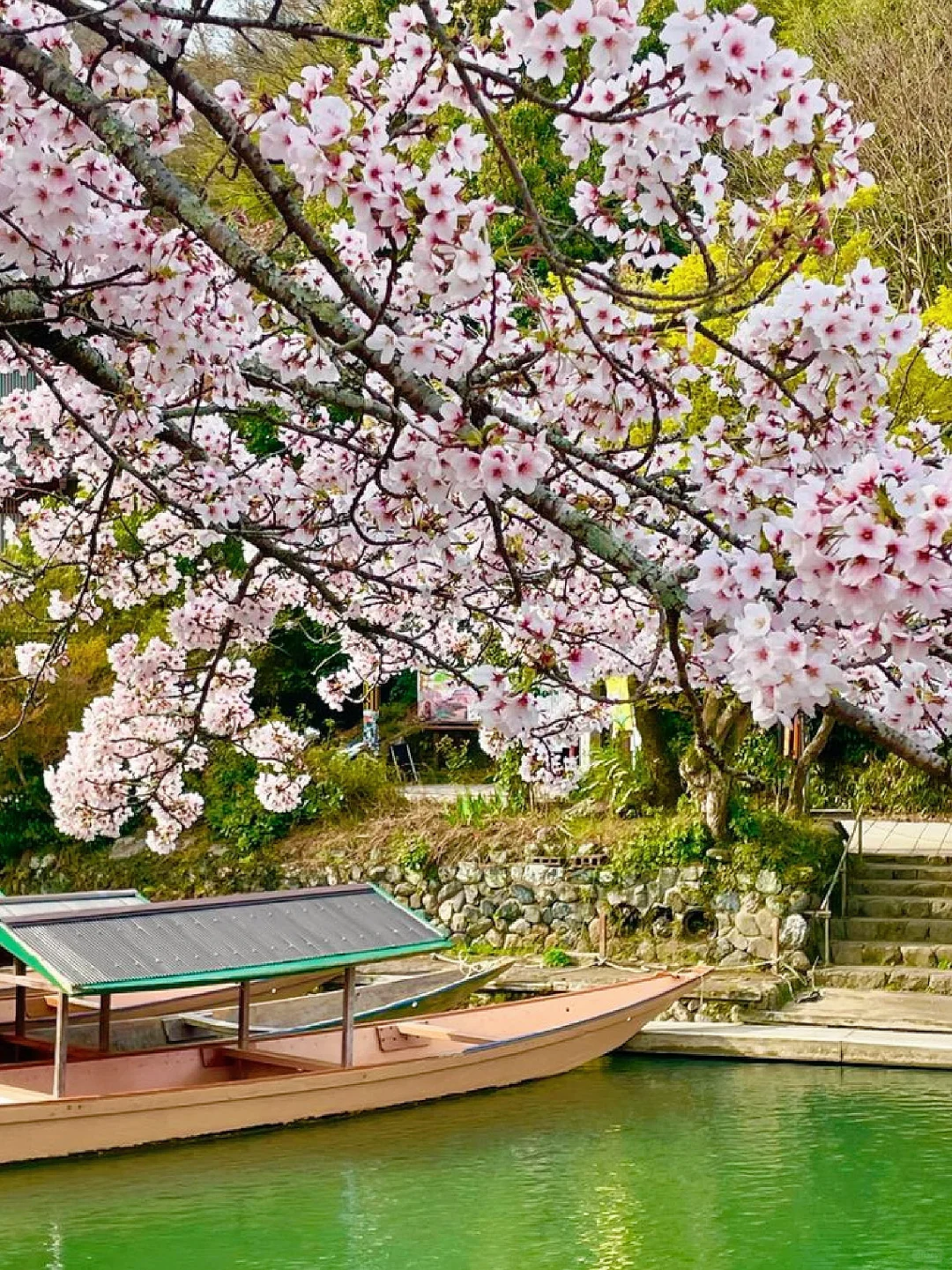 京都岚山｜赏樱当然要来这里啦