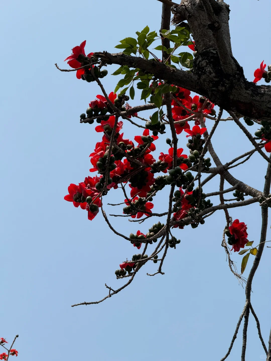 淡季去北海真的太舒服啦🏝️行前必看✨景点篇