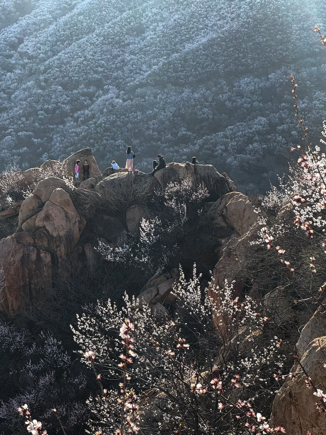 3.22 白虎涧 带上你最好的相机冲冲冲!