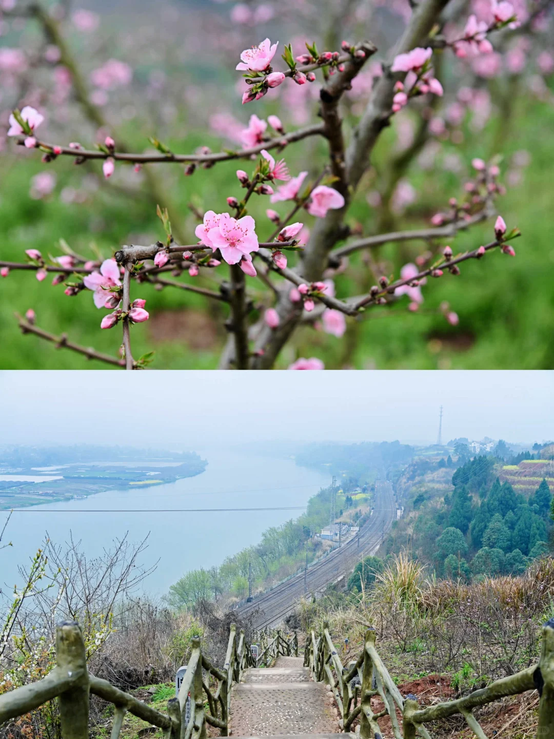 成都1h直达!!小众赏春宝藏地!!人少景美