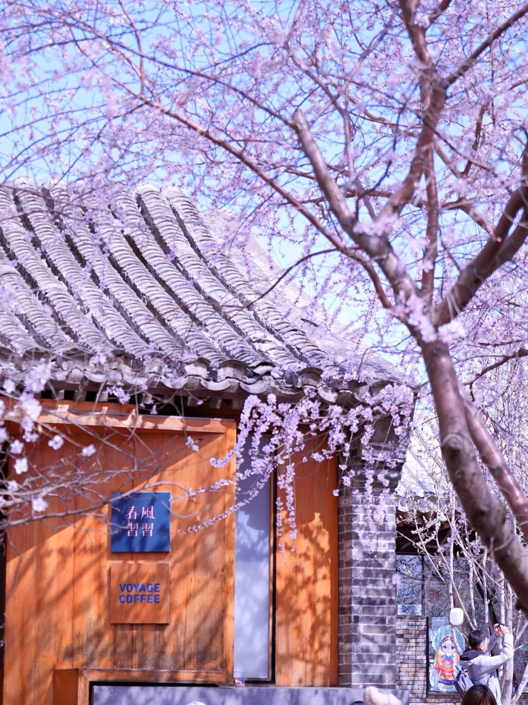 北京春天📍适合一个人逛一下午的地方…