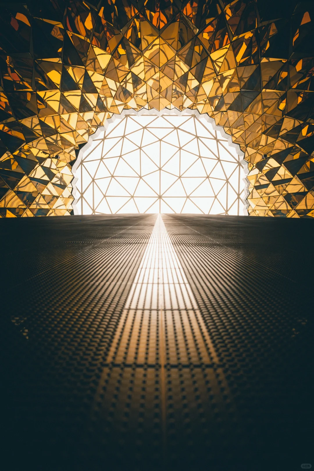 暴走南京24h，我拍到了这🔟个大片机位～