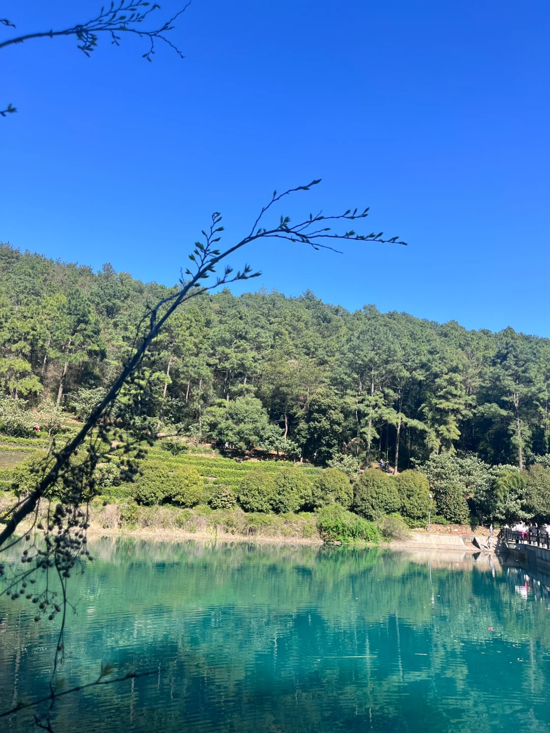 3.30 | 苏州小众踏春赏花景点‼️🤩