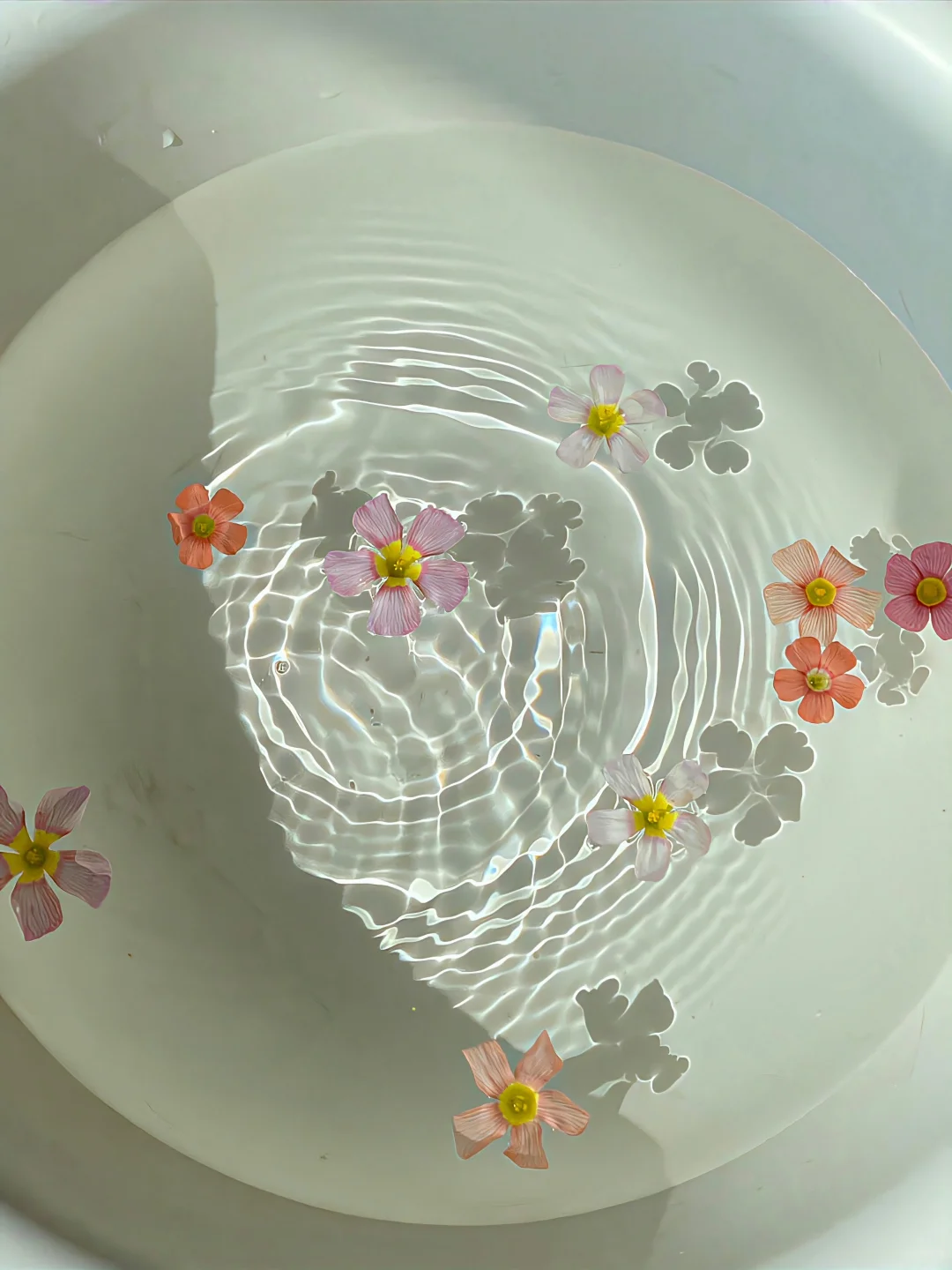 滇池里藏着一个蓝色的魔力池塘