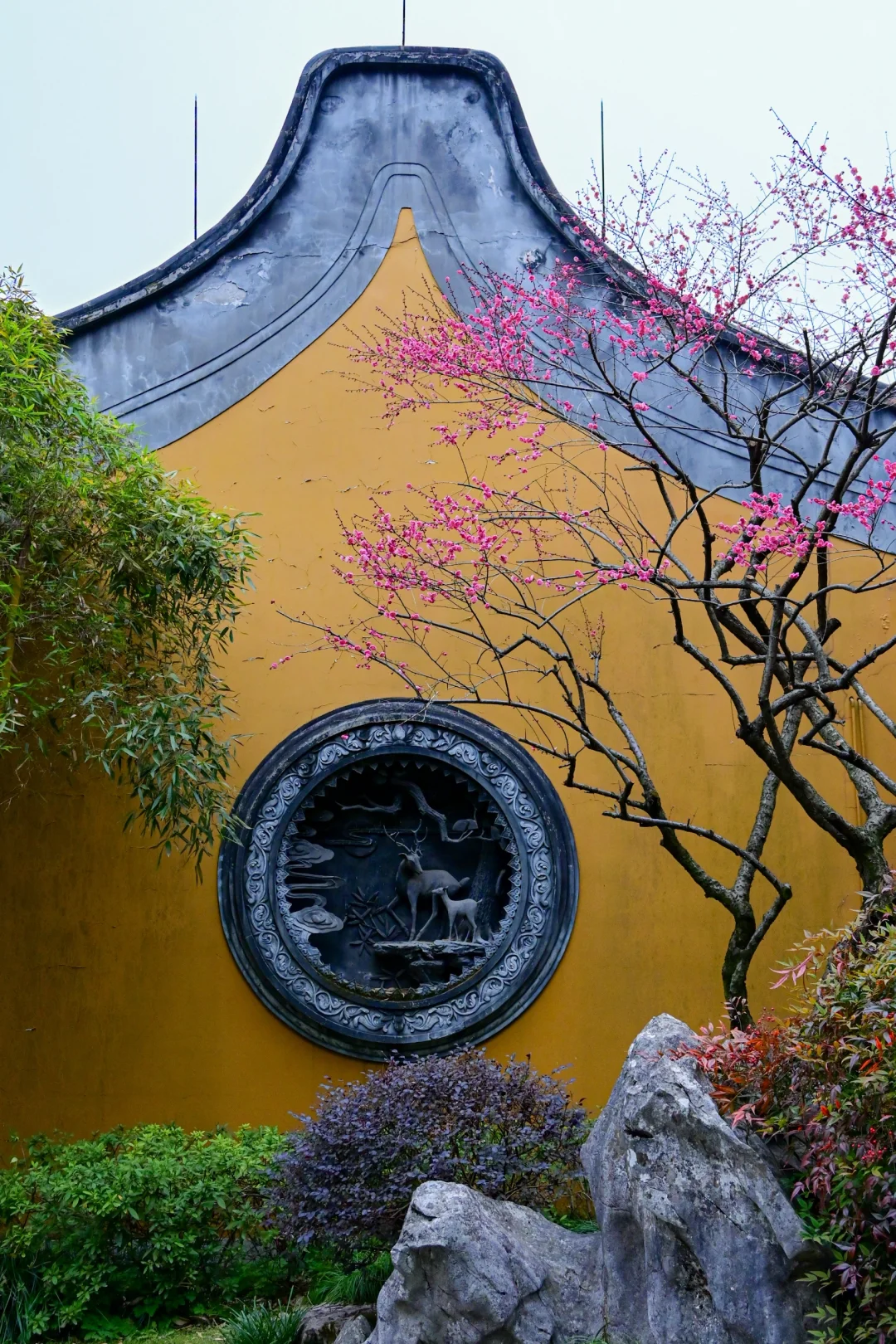 去杭州灵隐寺，赴一场春的邀约🌸