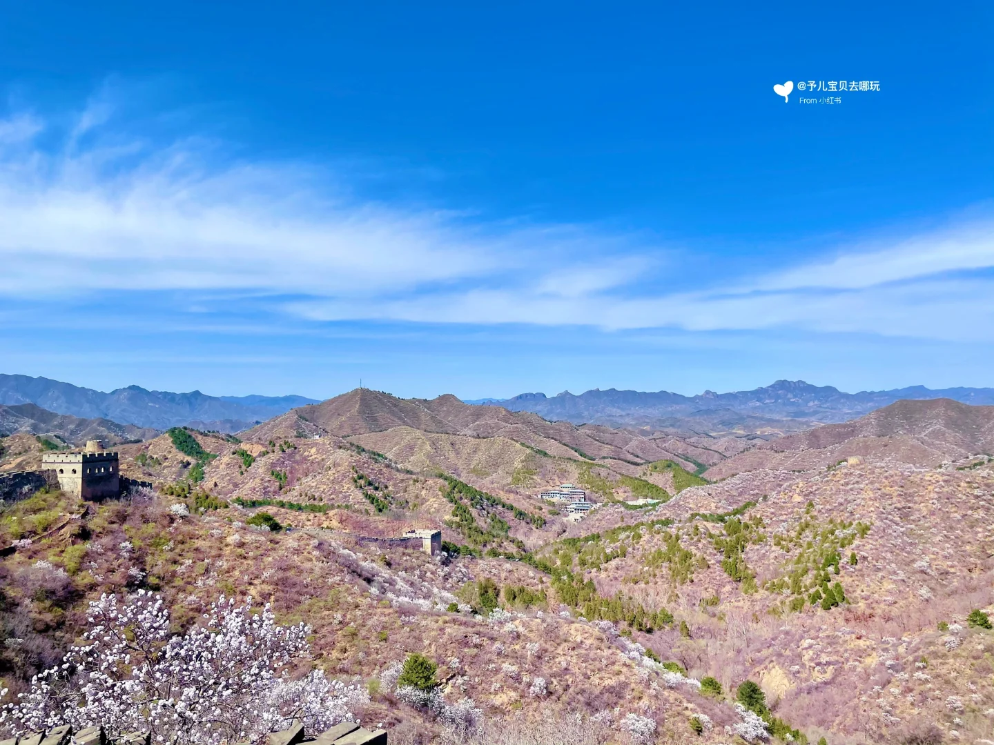 春日户外遛娃🌸这里必须踮起脚来推荐❗️