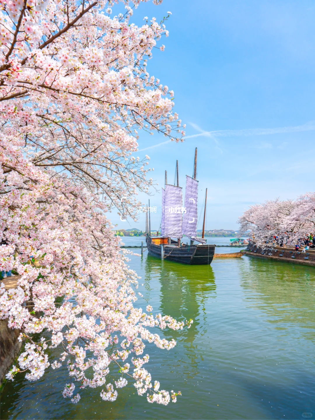 刚从无锡鼋头渚回来，能劝一个是一个‼️