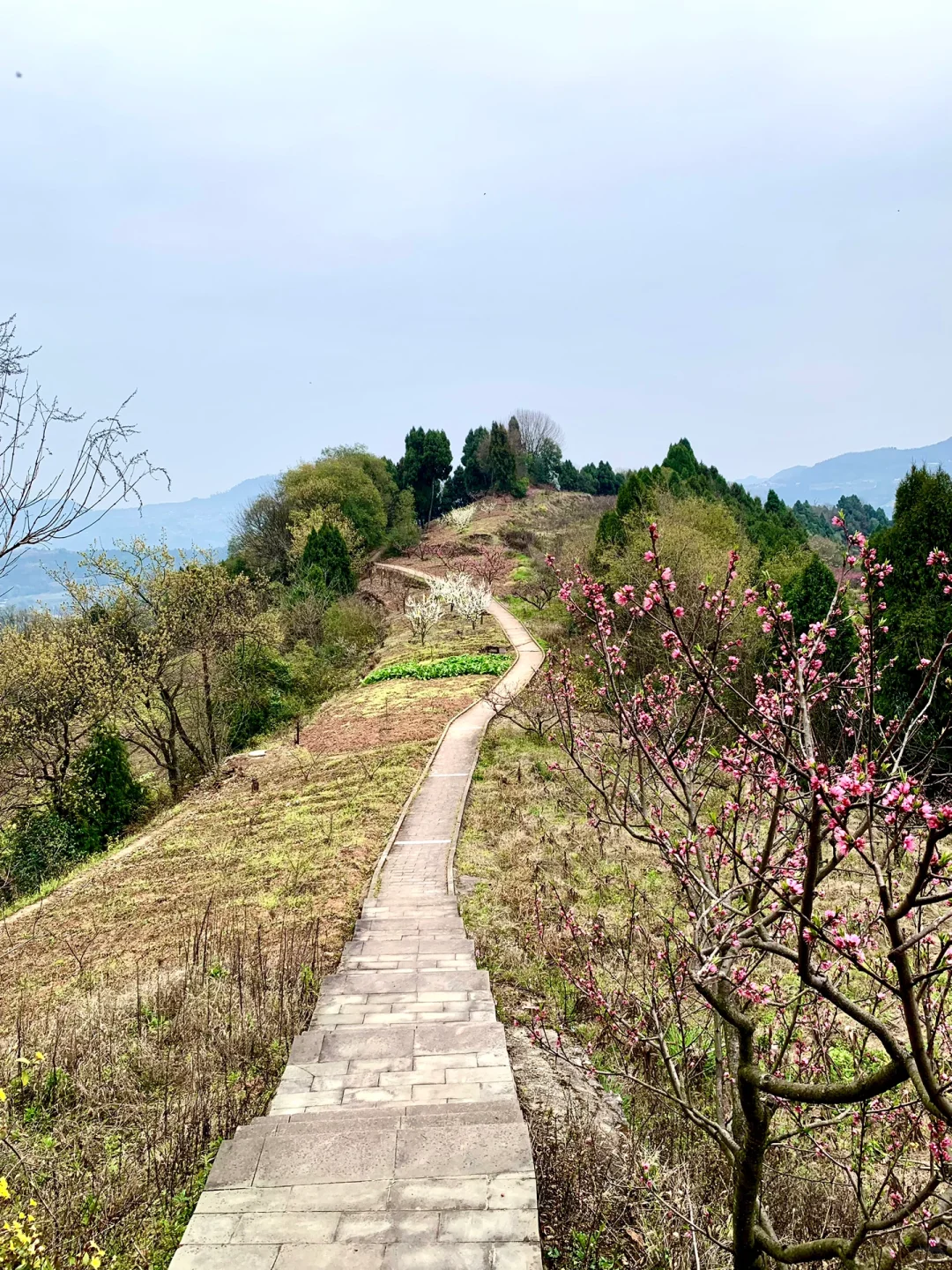 成都徒步|走入油画般的登山步道
