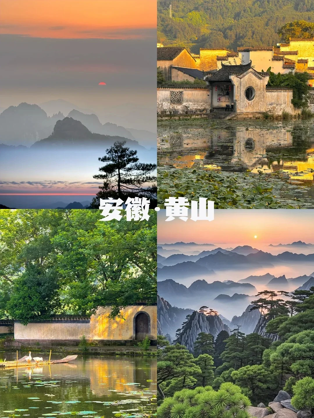 不愧是我！清明最佳旅游城市推荐✅