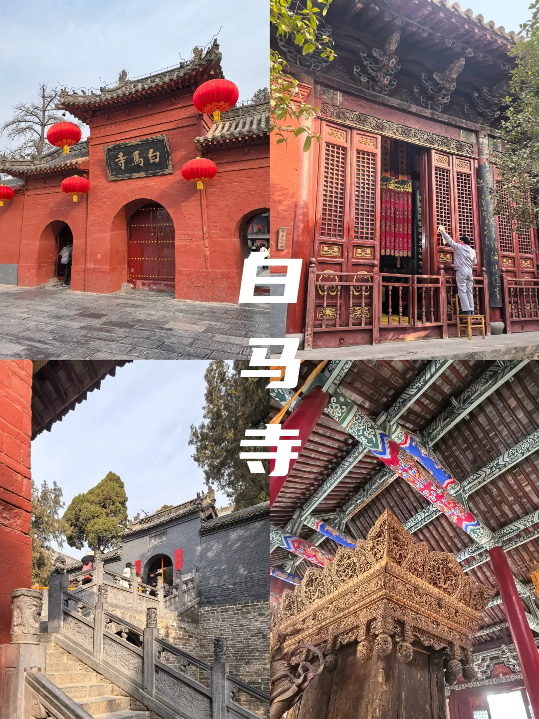 牡丹待放🌸｜洛阳还有这些地方穿越千年