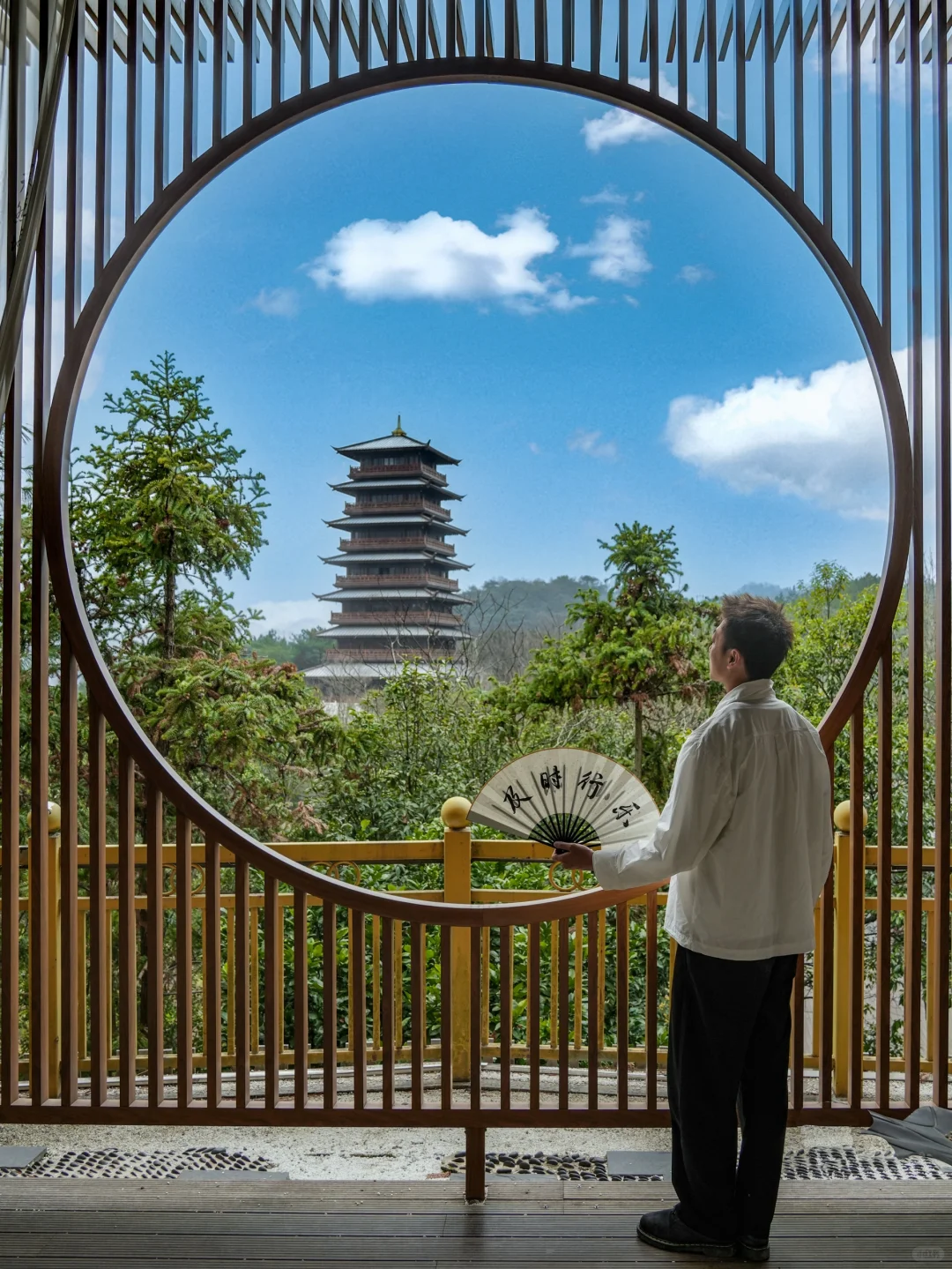 八千岛屿包围一棵树🌲江西被低估的宝藏景点