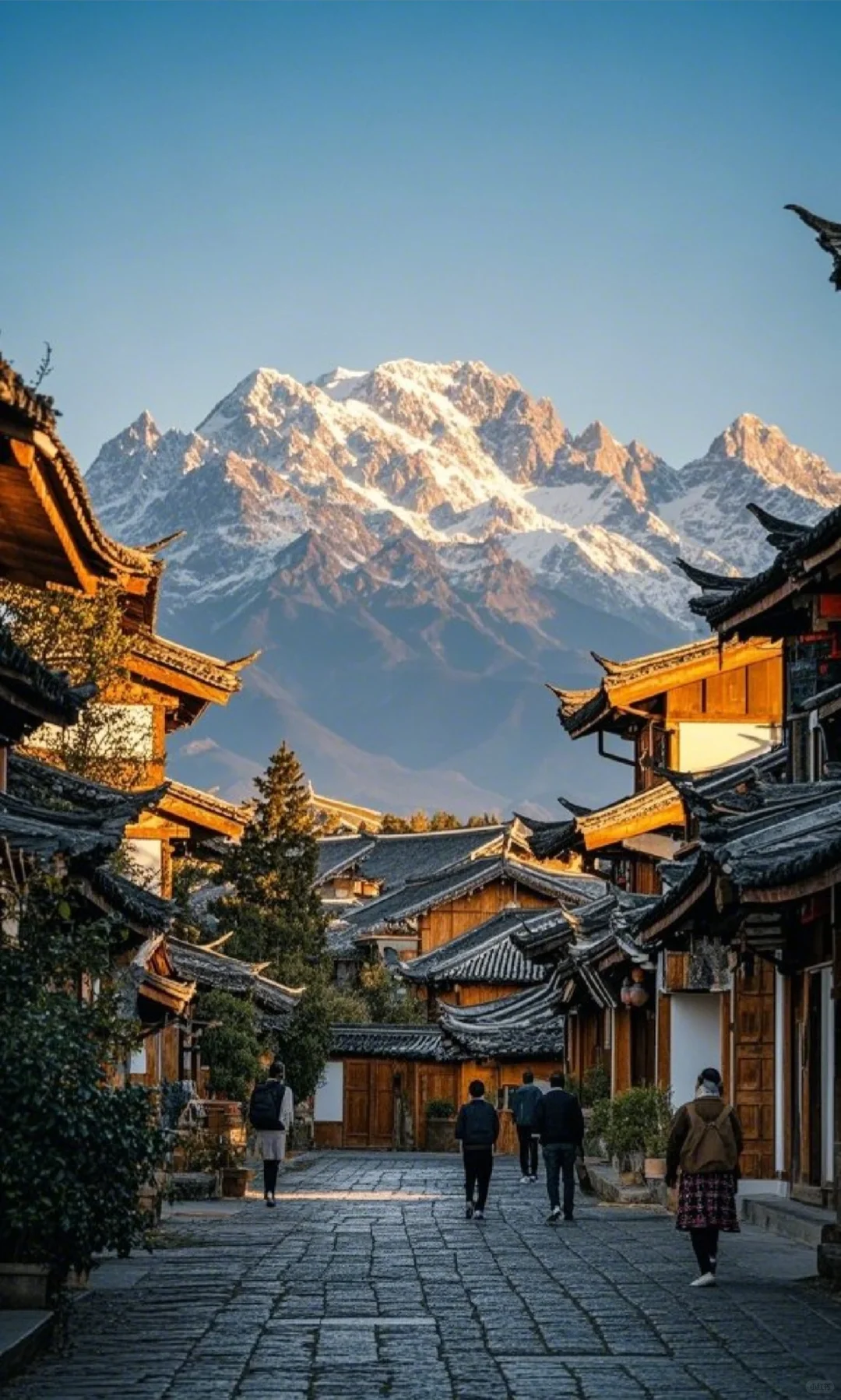 去了趟玉龙雪山 丽江真的香～