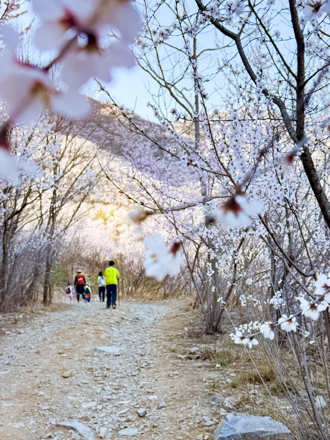 3.22 白虎涧 带上你最好的相机冲冲冲!