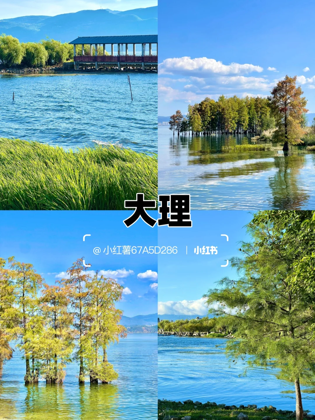 国内四大零差评城市，物价低，节奏慢