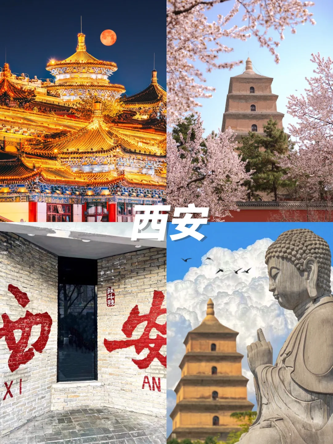 4月闺蜜出游🌷情侣约会👏假期不踩雷城市‼️